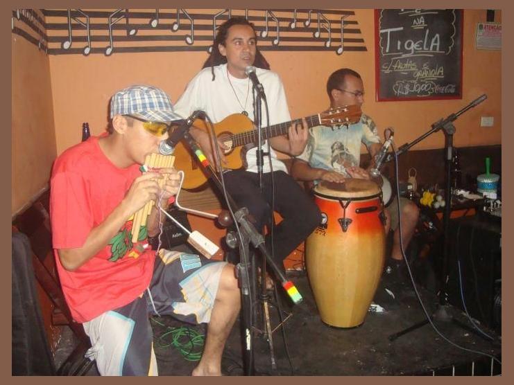 Projeto CaduRaiz